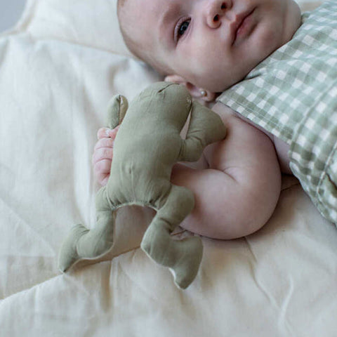 Juego Crinke Rattle