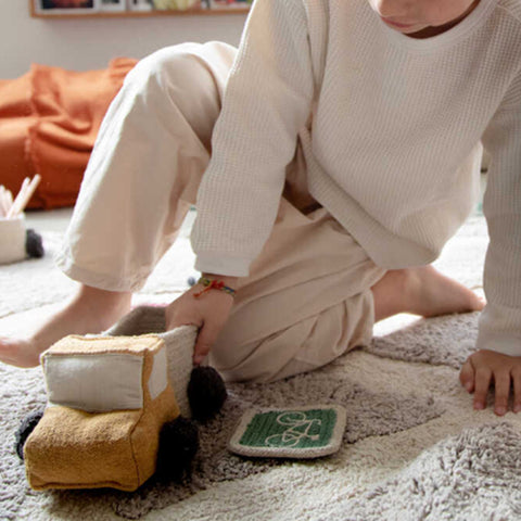 Canasta Mini Basket Trucks